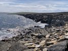 IMG_4956.jpeg