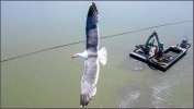 IMG_1711.jpeg