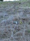 IMG_5469.jpeg