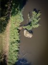 VJ230915_DJI_0538-HDR_2000px.jpg