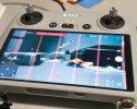 DJI_anomaly_1.jpg