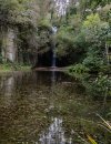 IMG_1409.jpeg