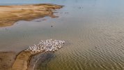 DJI_20231022084227_0032_D_MP4 (Small).jpg
