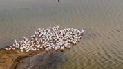 DJI_20231022084227_0032_D_MP4-2 (Small).jpg