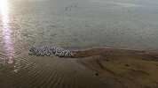 DJI_20231022084523_0039_D_MP4 (Small).jpg
