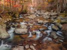 DJI_20231109093957_0170_D-2.jpg