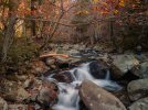 DJI_20231109094221_0175_D-2.jpg