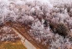 DJI_0536 Bbb.jpg