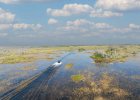 Airboat moving through grass.jpg