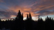 DJI_20240326072041_0009_D-2.jpg