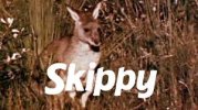 skippy.jpeg