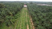 DJI_0040.JPG