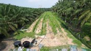 DJI_0063.JPG