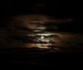 IMG_1590.jpeg