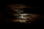 IMG_1589.jpeg