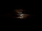 IMG_1593.jpeg