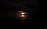 IMG_1591.jpeg