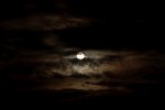 IMG_1587.jpeg