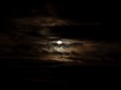 IMG_1586.jpeg