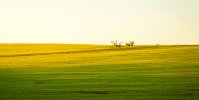 DJI_20240912074253_0055_D_MR-DNG_DxO_DeepPRIMEXD.jpg