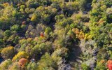 DJI_02842rr.jpg