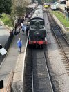 IMG_4930.jpeg