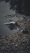 dji_fly_20250504_080314_0221_1746367458665_photo (1).jpg