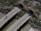 DJI_20250424135956_0013_D (Custom).jpg