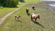 DJI_0845.jpeg