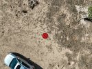 DJI_20241014135000_0033_D (Custom).jpg