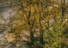 1747941195107.png