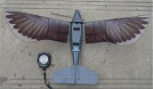 The-ornithopter-chnical-University.jpeg