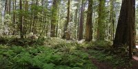 IMG_3386.jpeg