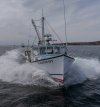 boat samp.jpg