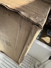 IMG_0259.jpeg