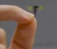 Micro.png