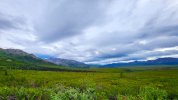 0233 Denali Nat Park WEB.jpg