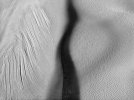 20250729-DJI_20250729151002_0023_D_MR.jpg