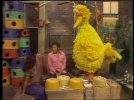 BigBird-1611346605.jpg