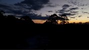 IMG_1261.jpeg