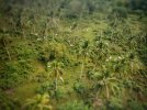 IMG_2047.jpeg
