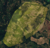 2025.06.01_Calumpang_300m_Ortho.png