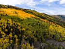 DJI_20250926120857_0054_D (Custom).jpg