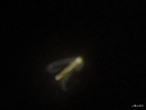 1759178476533.png
