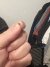 IMG_4420.jpeg