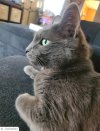 FB_IMG_1759253728870(1) (1).jpg