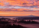Sunrise-1.jpg