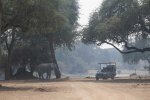 Sept-24-2025 Elephant and Safari Vehicle.jpg Sept-24-2025 Elephant and Safari Vehicle.jpg
