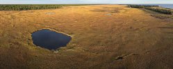 marsh.20251024.jpg marsh.20251024.jpg