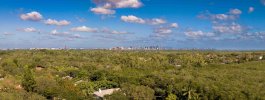 Downtown Miami from my driveway.jpg